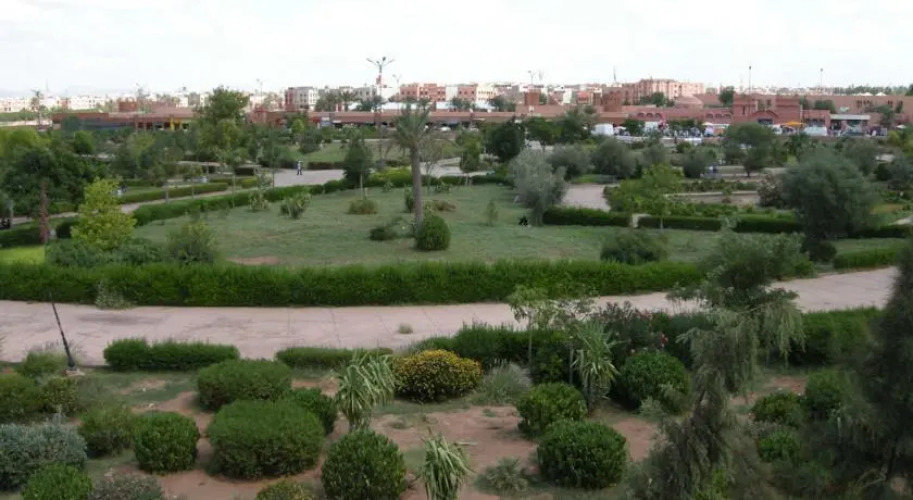 Ryad El Maarouf — фото 5