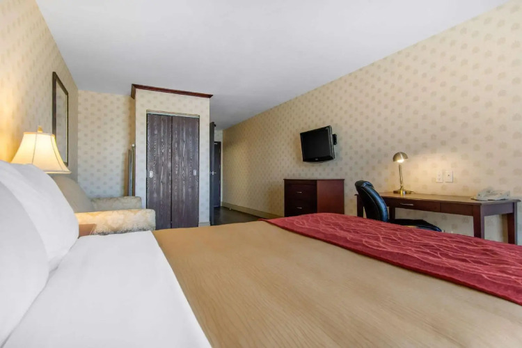 Comfort Inn & Suites — фото 3