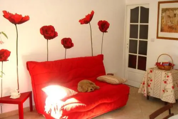Coquelicots — фото 3