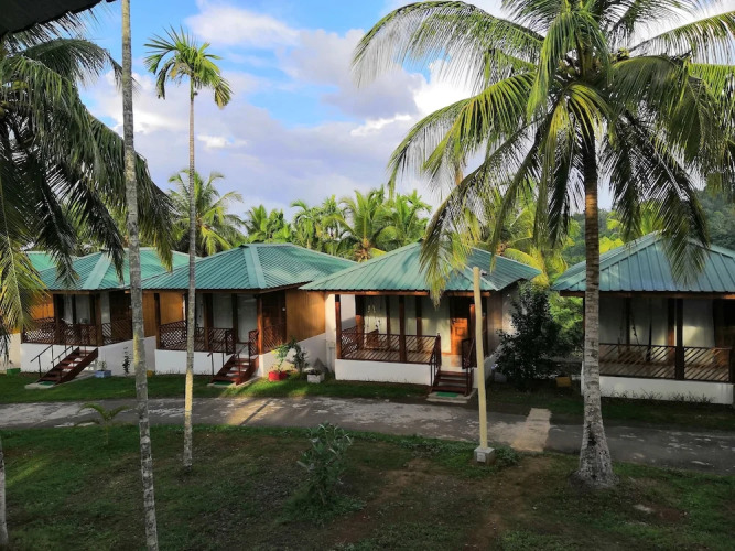 Rainforest Resort — фото 4