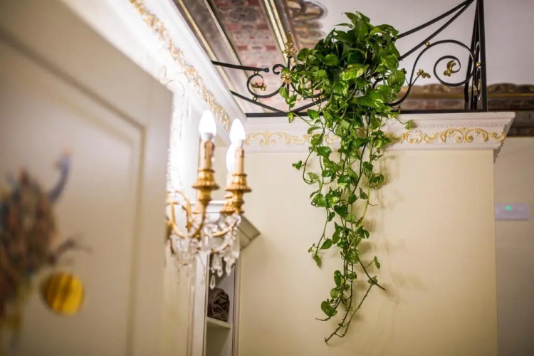Trastevere Royal Suite Trilussa