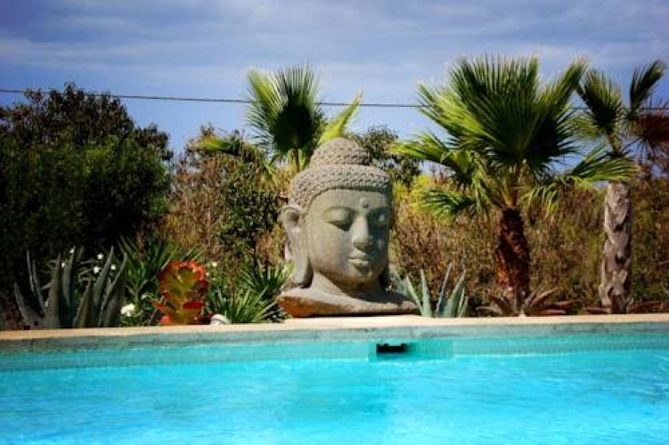 Soli Budha — фото 3