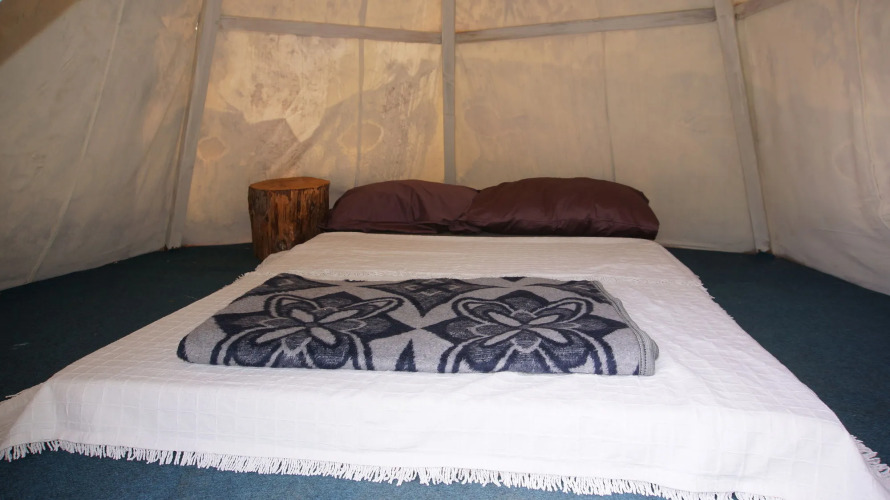 Shiva Camp — фото 3