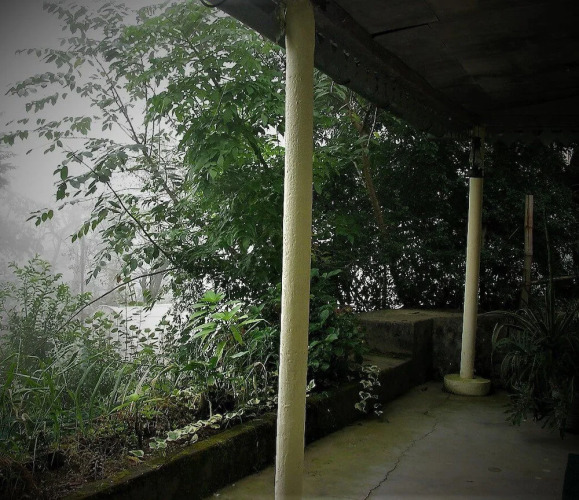 Ayush Guest House — фото 4