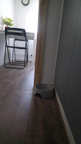 Sziget Apartman — фото 5