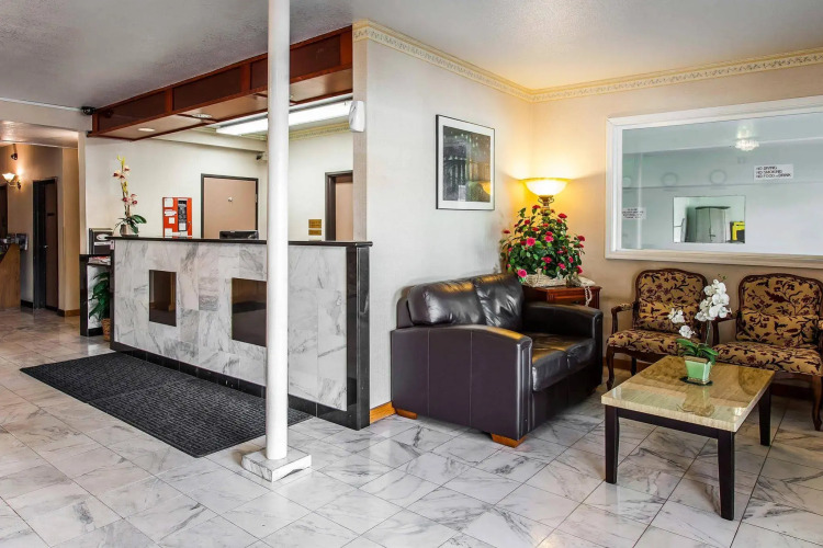 Bellis Inn — фото 2