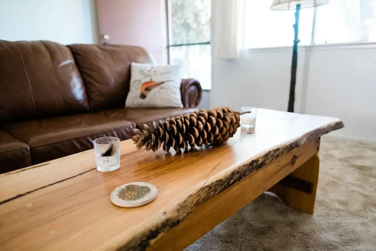 Pinecone Getaway — фото 4