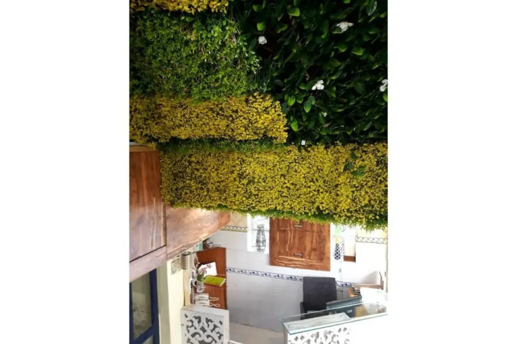 Hotel Pathik — фото 2