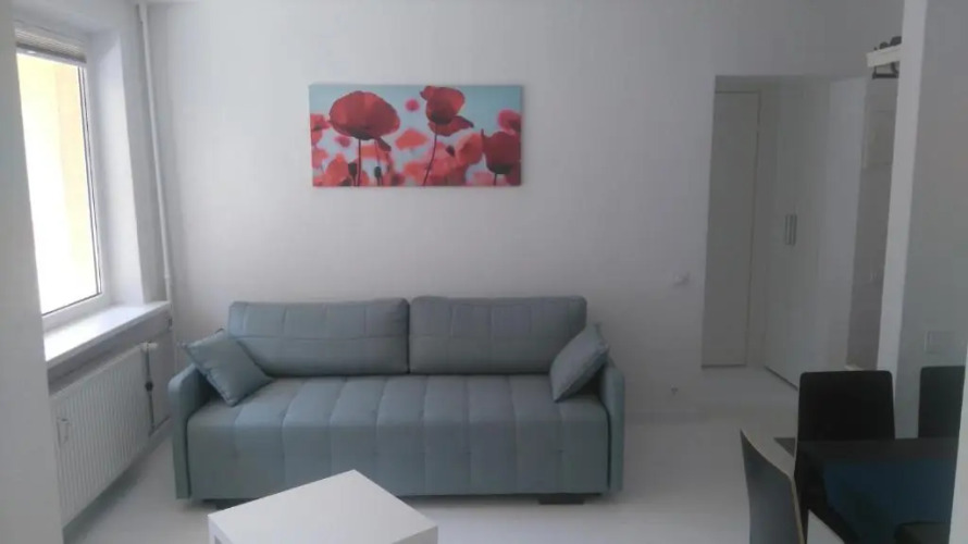 Studio Apartment "Balta" — фото 4