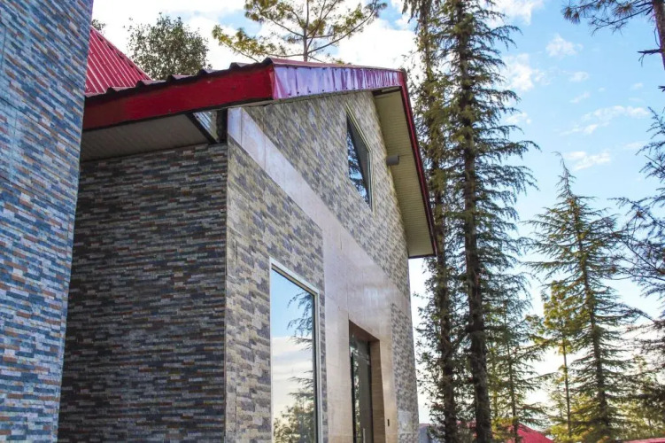 Shimla View Home — фото 2