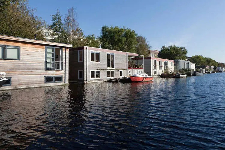 BedonBoard — фото 4