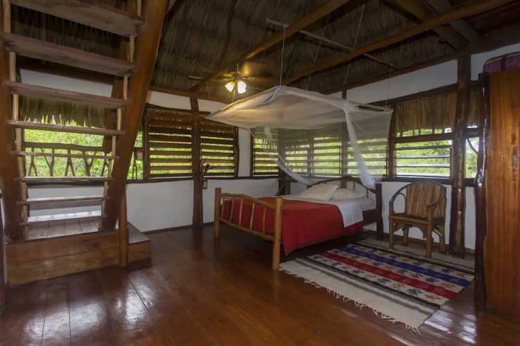 Cotton Tree Lodge — фото 2