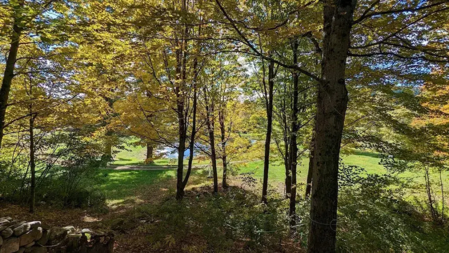 Pond View Cabin — фото 4