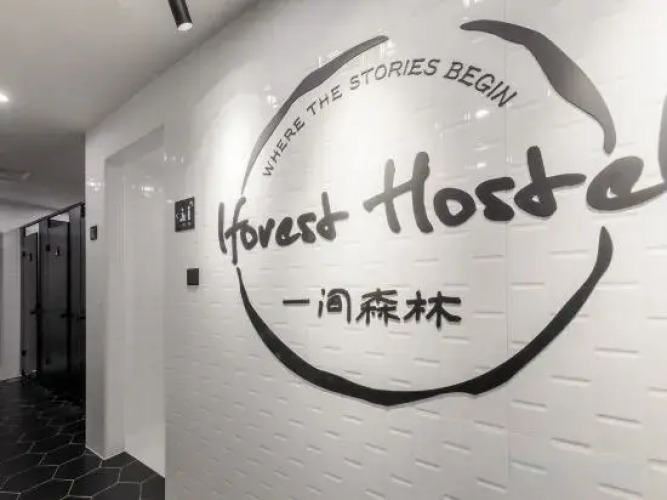 Iforest Hostel — фото 2