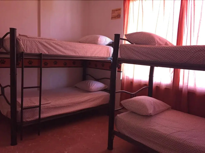 Hostal Pata de Perro — фото 4