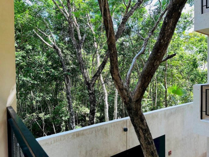 Jungle View Studio S19 Private Balcony Hammock Pool — фото 4