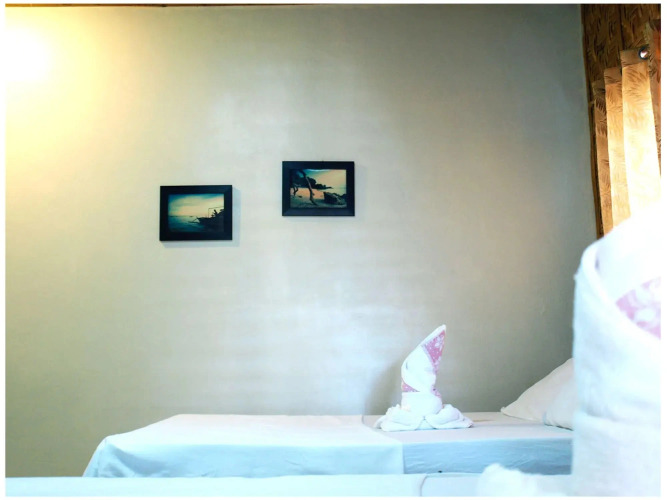 Purple Snapper Dive Resort — фото 4