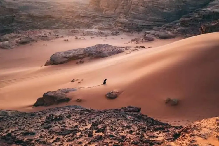Wadi rum echo camp — фото 5