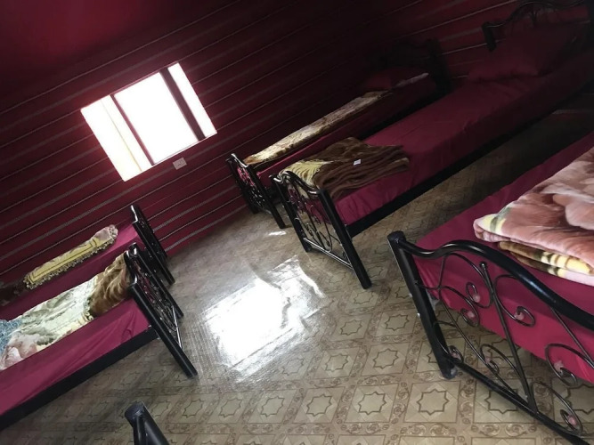 Alamer Hostel Camp — фото 2