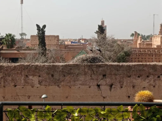 Stork Marrakech luxury Hostel — фото 3