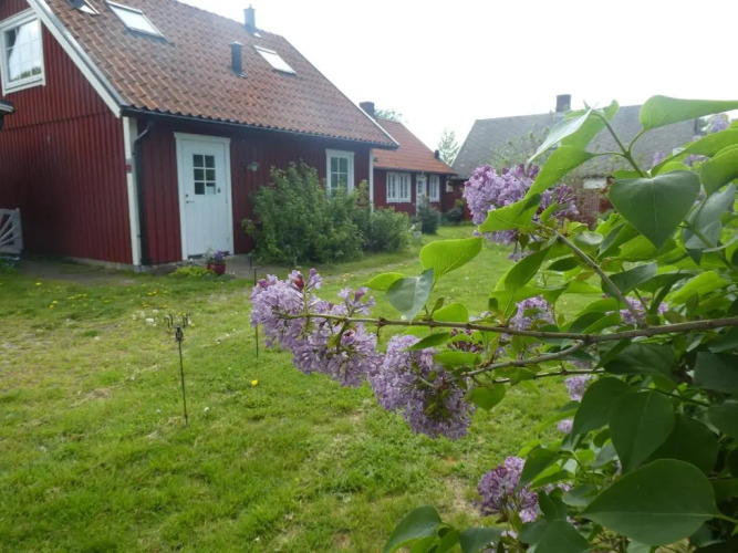 Huggehus — фото 4
