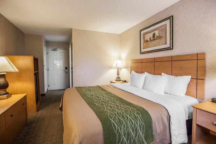 Betty s place rockford il hotels is amazon going to use bitcoin