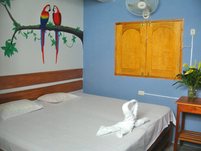 Amazon House Hostel — фото 2