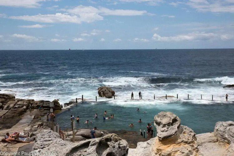 Seadreams, Maroubra — фото 2