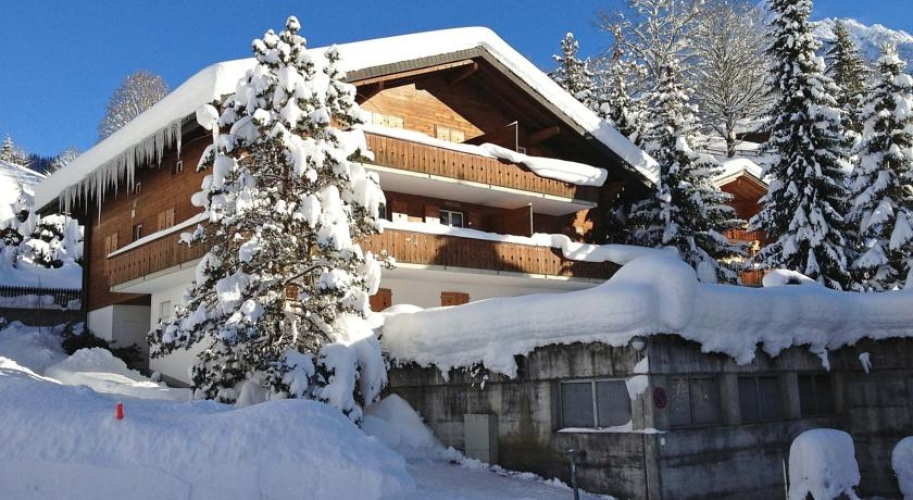 Chalet Sunny Corner — фото 2