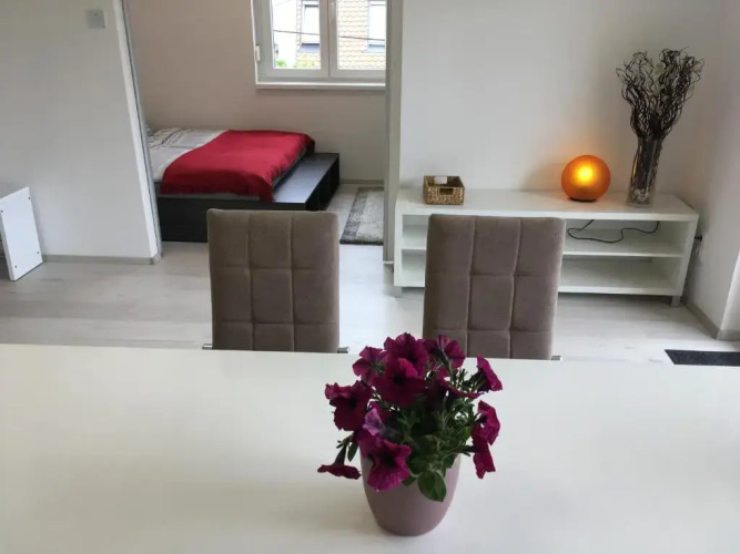 Ildi Apartman — фото 5
