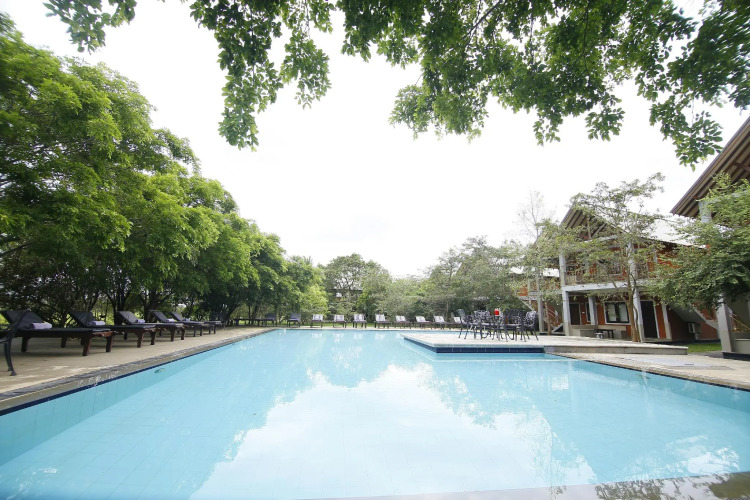 Elephas Resort — фото 4