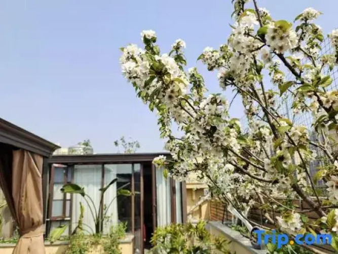 Shimao Impression Hotel — фото 4