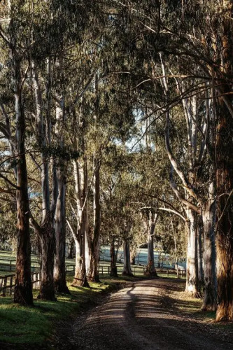 Kangaroo Manor — фото 3
