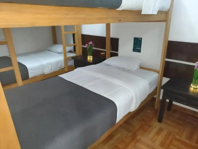 Green Orchid Hostel — фото 3