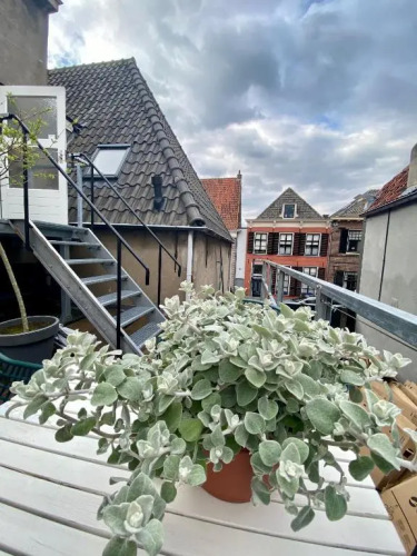 B&B Het Atelier — фото 2