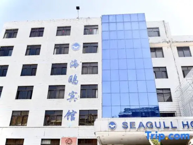 Seagull Hotel — фото 2