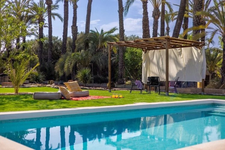 Historical Palms by Fidalsa — фото 2
