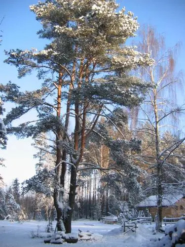 Усадьба Машин Хутор — фото 5