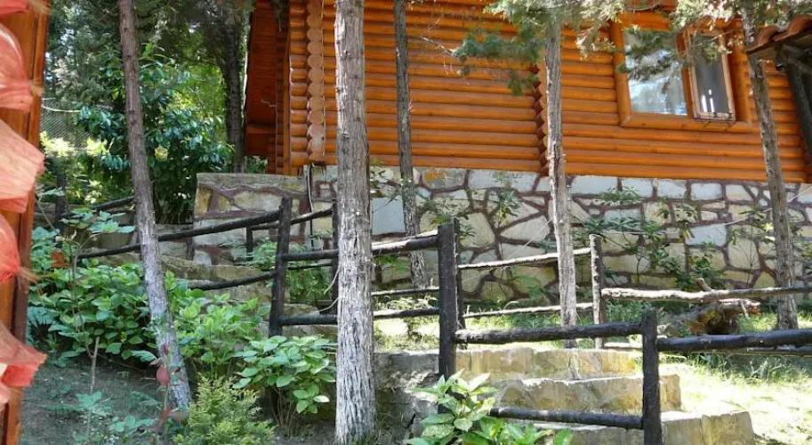 Forest Lodge — фото 2