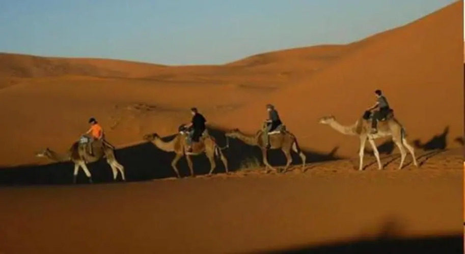 Bivouac Camel Trips — фото 3