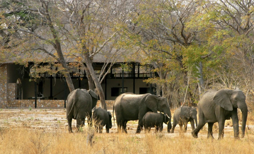 Gwango Elephant Lodge — фото 4