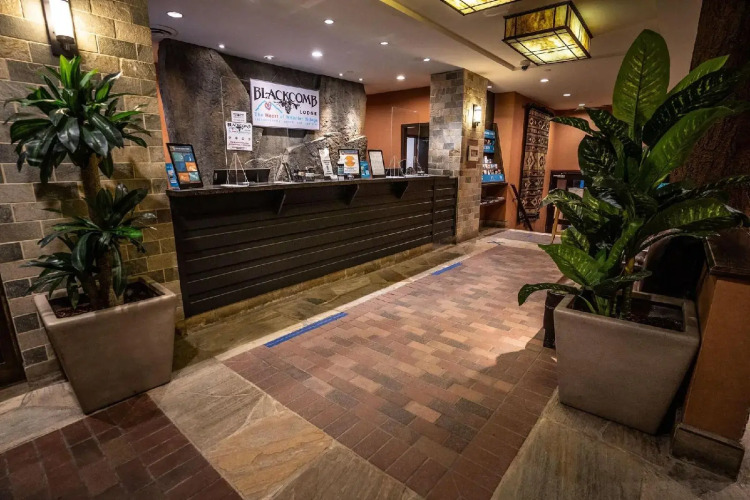 Blackcomb Lodge — фото 2