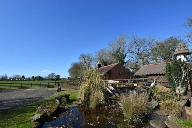 Oak Tree Stables — фото 3