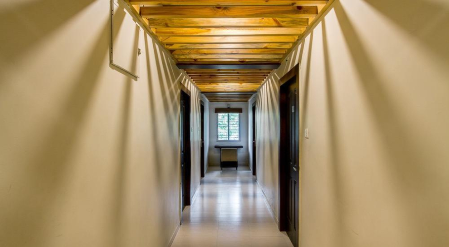 Treebo Casa Grande Studios — фото 2