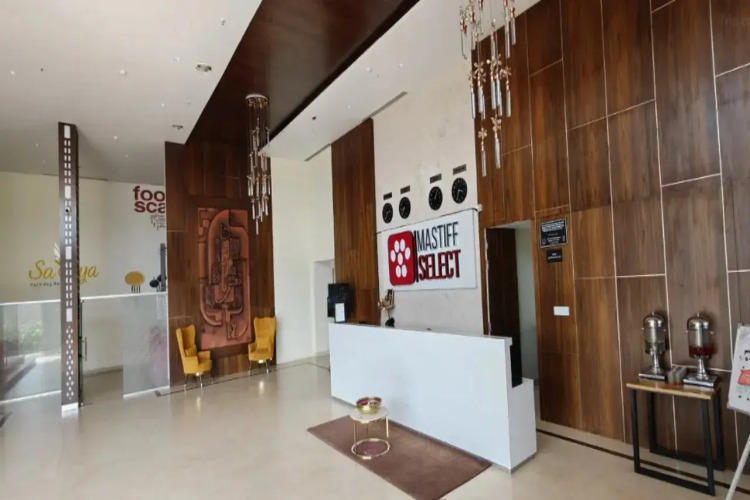 Mastiff Select Bidar — фото 2