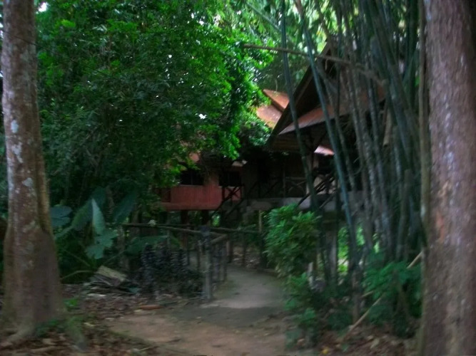 Bamboo House — фото 4