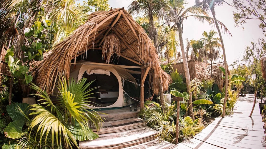 Uman Glamping & Cenote Tulum — фото 4