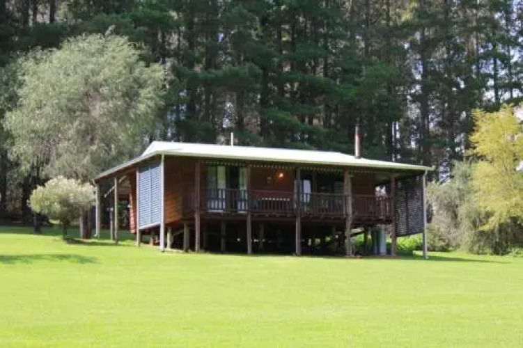 Hawke Brook Chalets — фото 5