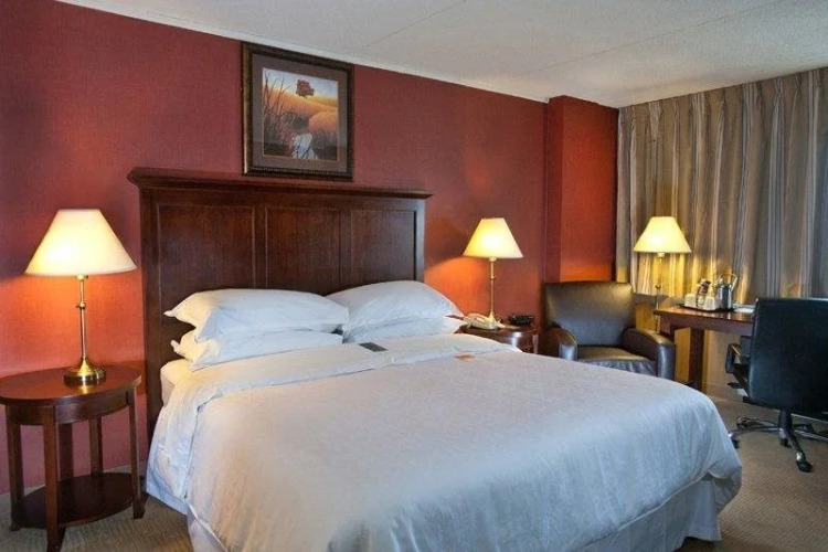 Sheraton Dover Hotel — фото 3