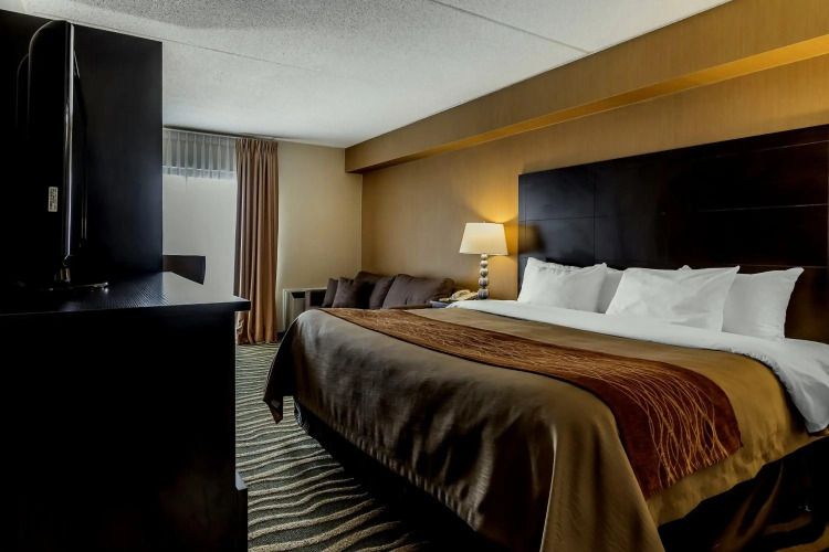 Quality Inn — фото 3